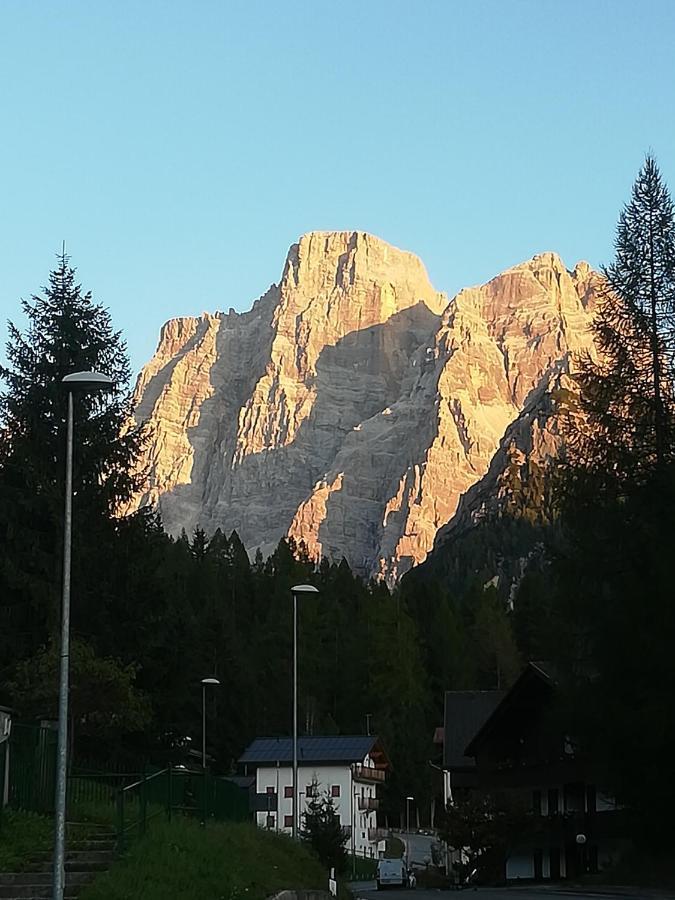 Dolomites Holidays Selva di Cadore Zewnętrze zdjęcie